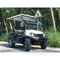 Electric UTV с EEC 5KW